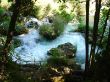 DSC01488.JPG