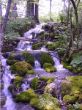 DSC01550.JPG